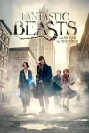 fantastic_beasts_and_where_to_find_them__2016__zeefliz_zeefliz.top_.webp.webp